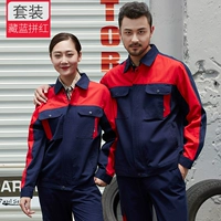 Красный пинцхизи синий