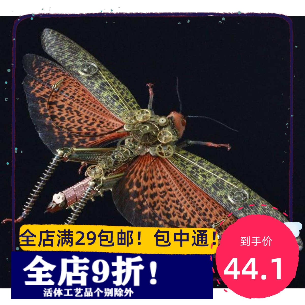 The female insect of the giant locust specimen Tropidacri cristata dux has not finished