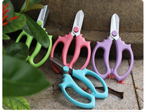 Household floral scissors wide head flower scissors flower flower flower path cut flower branch branch repair flower pruning garden gardening tool scissors