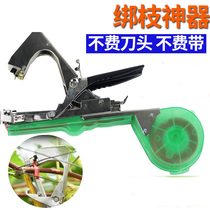 New Taiwan Grape Binding Machine Tomatoes Tomatoes End Machine Saint Female Fruit Tomato Bundle Cucumber Tied the Cranberry Gun