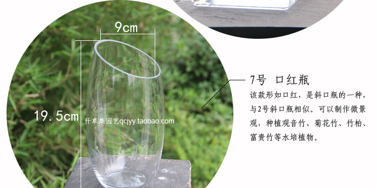Guanyin tre xanh nước thủy canh bình ngỗng hình trứng tròn miệng chai thủy tinh trồng cây thủy canh chậu hoa bình nhỏ phong cách châu Âu - Vase / Bồn hoa & Kệ bình hoa đẹp