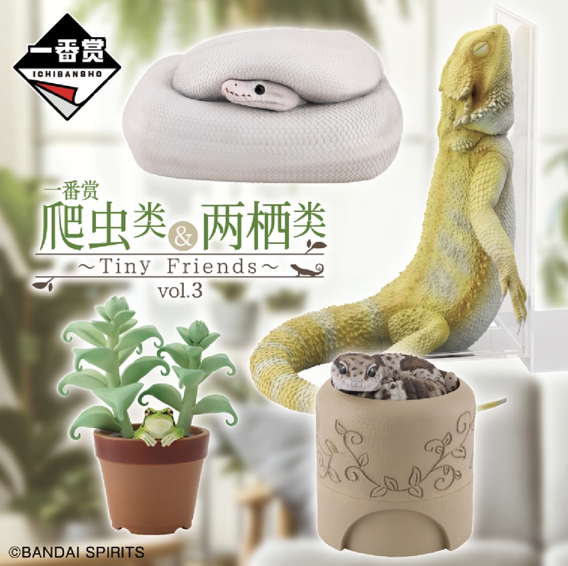 Bandai Ichiban Kuji Reptiles & Amphibians Tiny Friends Vol.3 Bearded Dragon Pure White Ball Python Figure