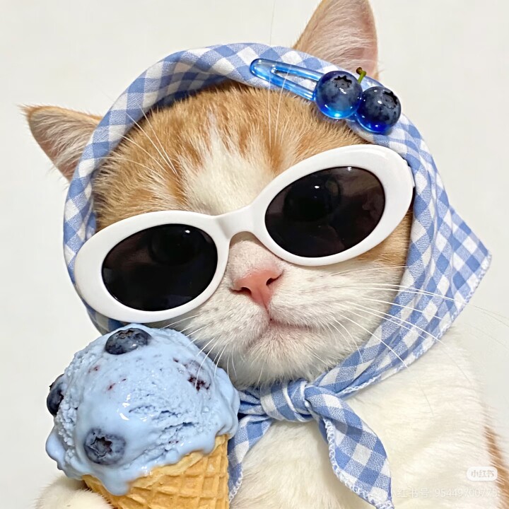 HUANXISHOP