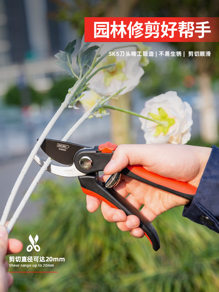Right pruning scissors Garden floral pruning branch scissors Fruit tree scissors Thick and powerful gardening scissors tool