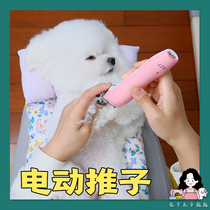 In the lower meatballs Leby 327 Pet electric pushclippers pooch fur trim rechargeable shaving machine