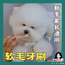 In the lower meatballs ten thousand Mao toothbrush soft brushed fur pet pooch toothbrushing to protect the gums in addition to mouth odor