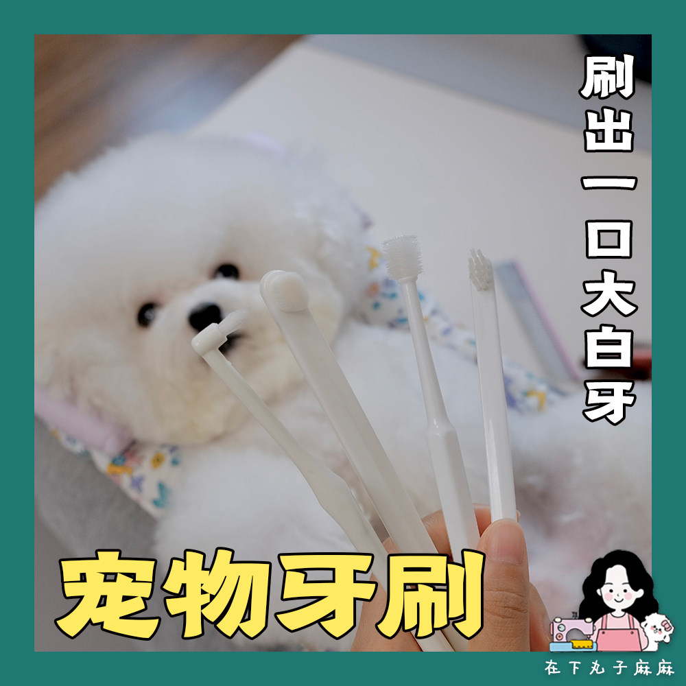 Under the ball, KOJIMA pet toothbrush, dog brushing and cleaning mouth, soft brush to protect gums