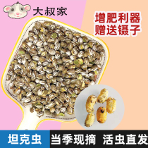 Harder snack products Tank worm skunk grain flying mouse hedgehog cans nutritional fertilizer alive worm