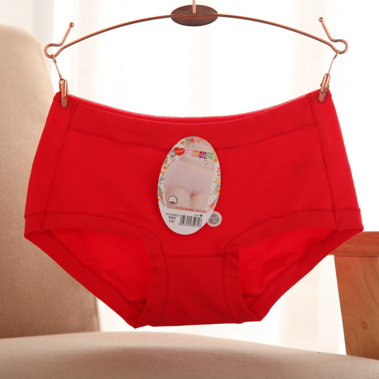 Slip jeunesse simple en coton - Ref 641594 Image 16