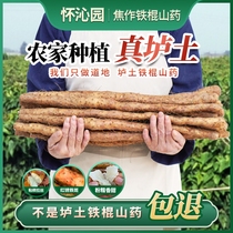河南焦作原产地垆土铁棍怀山药新鲜采挖3-5斤软糯香甜营养