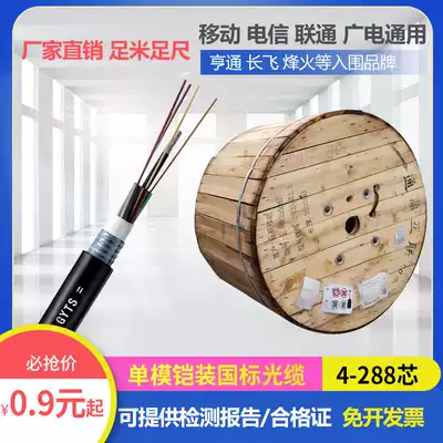 Single-mode armored optical fiber cable 4 core 6 core 12 core 24 core 48 core 72 core 96 core outdoor optical cable