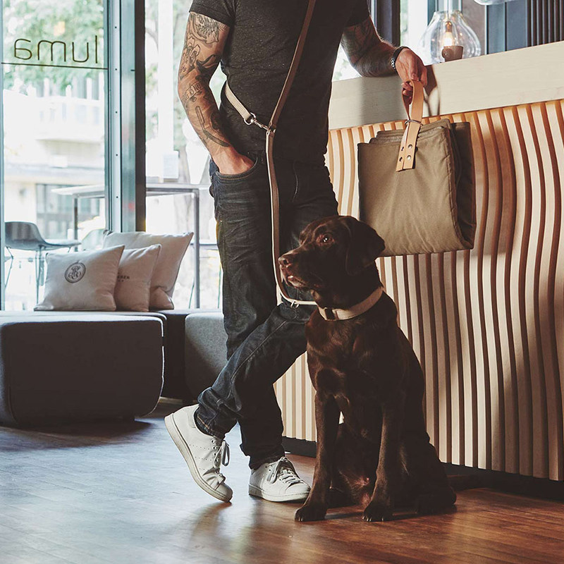 Walking Dog Theologie Emancipation Hands Diagonal Satchel Towing Rope Item Ring Small And Medium Dog Pets Walking Dog Rope Adjustable-Taobao