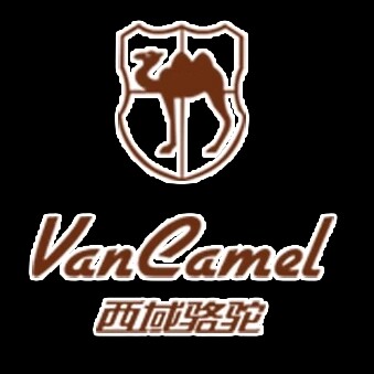 西域骆驼男鞋店