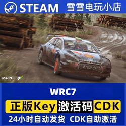 Wrc 7 Fia World Rally Championship Official Steam China Region Activation Code Cdk