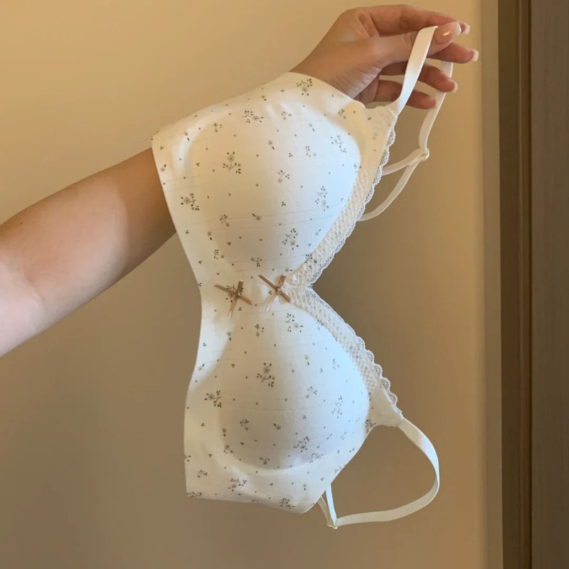 2025 New Summer Underwear for Women with Small Busts, Push-Up, Wireless, Soft Support, Anti-Sagging, Sweet, Breathable, Thin Bra 2025 New Summer Underwear for Women with Small Busts, Push-Up, Wireless, Soft Support, Anti-Sagging, Sweet, Breathable, Thin Bra