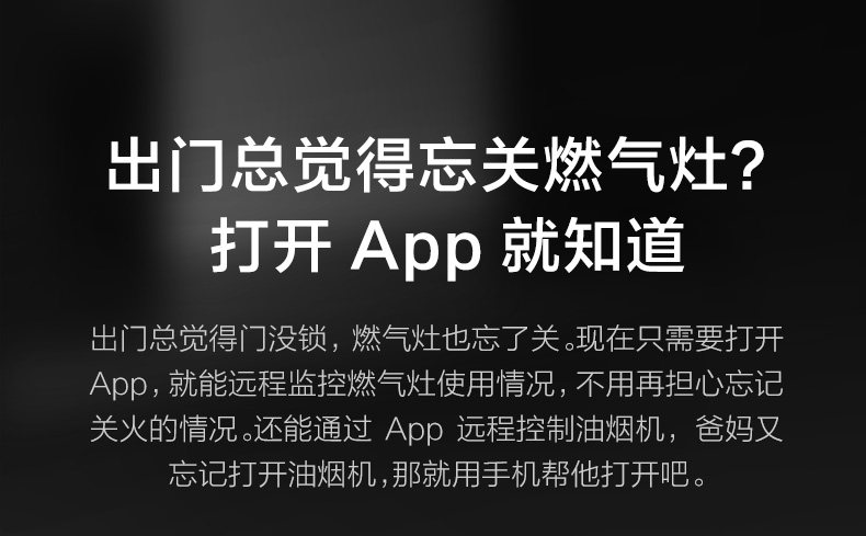 Боковая всасывающая печь с -790-28_11.jpg