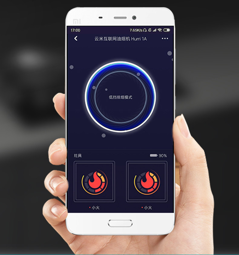 Боковая всасывающая печь с -790-28_12.jpg