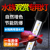 LED fish tank light Aquatic plant light Waterproof diving light Lighting aquarium Arowana parrot rich koi viewing