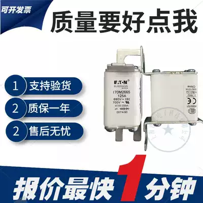 New 170M2663 170M2664 170M2665 170M2666 Basman Low Voltage Fast Fuse