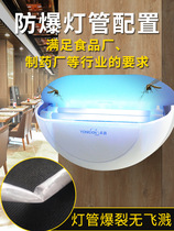 Yongxin Extermination Lamp Restaurant Hotel Presents 10 Sticky Mosquito Paper with Sticky Trap Mosquito lamp Commercial Home Viscose Lamp