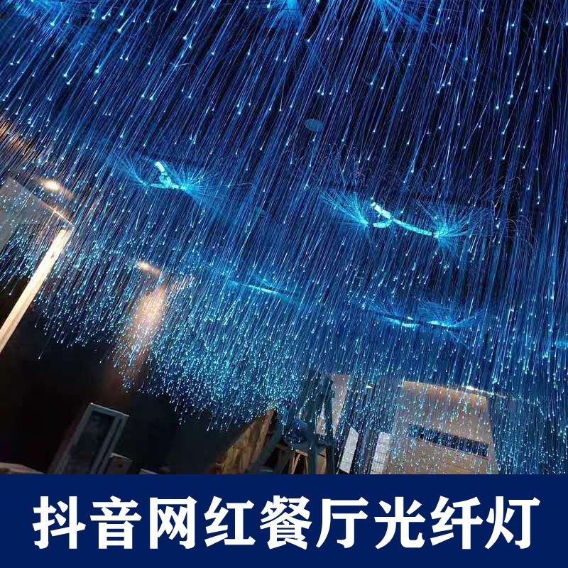 Starry Sky Top Fiber Optic Light Net Red Restaurant Corridor Clear Bar Cafe Starry Sky Top Starry Bar Decoration