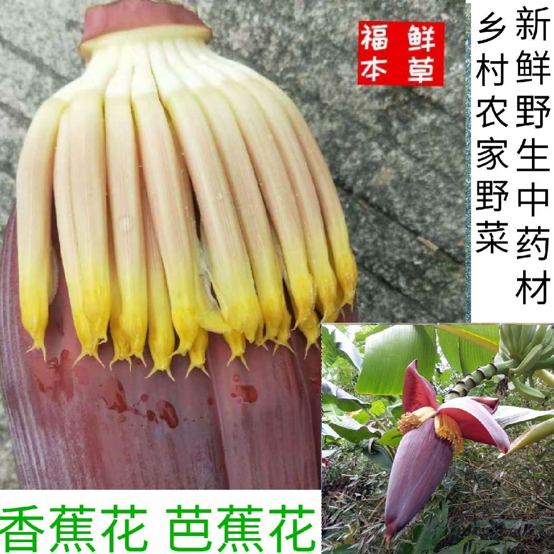 现摘香蕉花心芭蕉花新鲜天然无农药食药用蔬菜大花蕉蕾5斤包邮 现摘香蕉花心芭蕉花新鲜天然无农药食药用蔬菜大花蕉蕾5斤包邮
