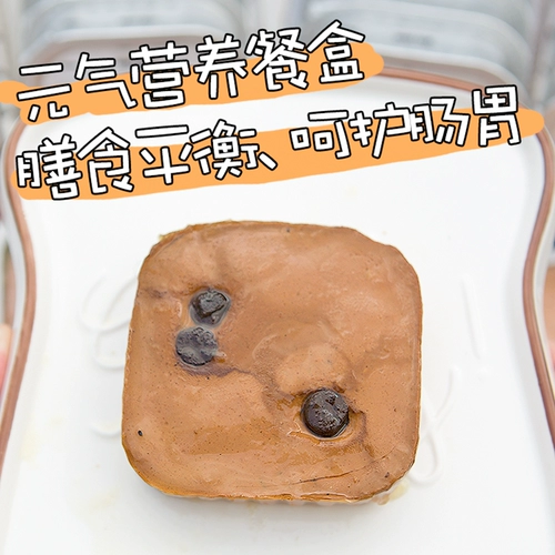 Японский доктор Данте, ланч -ланч для собак собаки, собака, уход