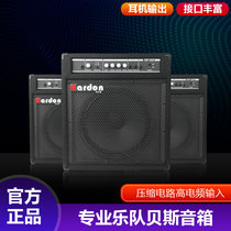 kardon Caton electric guitar speaker bass speaker with compression band bass rehearsal performance practice audio