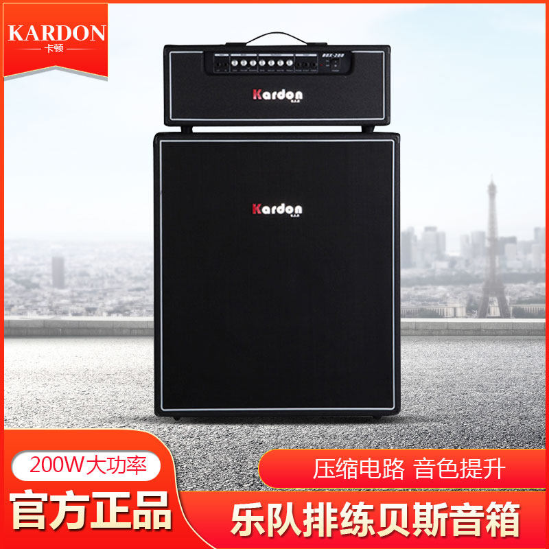 KARDON Carton bass speaker band rehearsal to practice two style electric bass speakers