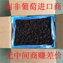 South Africa large grain raisins 500g unsweetened blackcurrant red raisins snack fruit oat casual snack