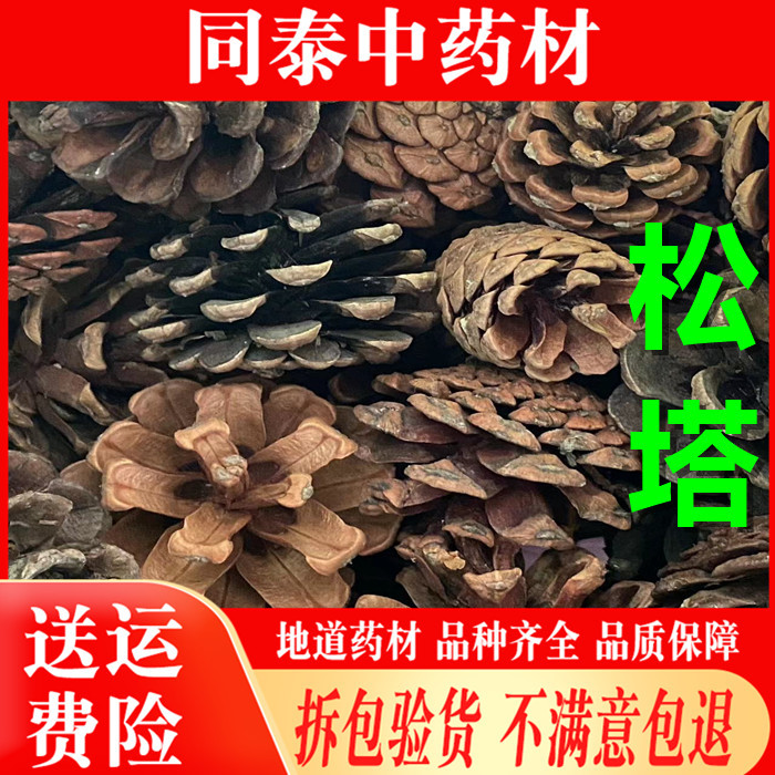 Genuine Pine Cone Chinese Medicinal Materials 500g  Special Dry Goods Pine Cones Pine Cones Snakeskin Pine Cones White Pine Cones