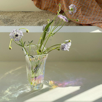 OK HONY* Ins South Korea Wind Square Irregular Styling Glass Large Vase Decoration Pendulum water-raising hydropony