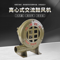 Shanghai Xinlong 220V household blower speed control fan Large low pressure centrifugal fan for industrial stove