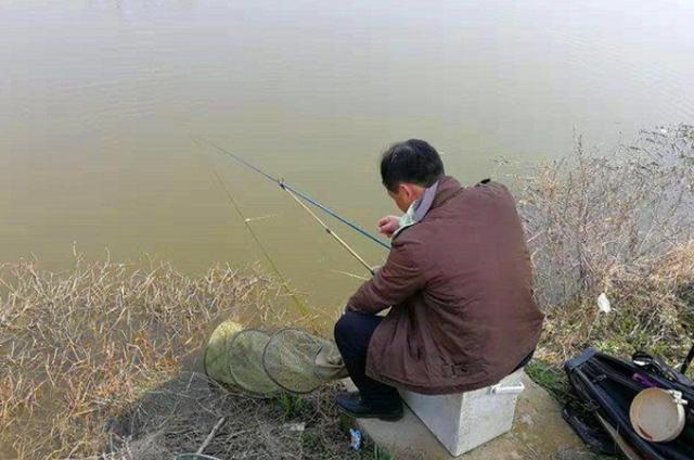 鲫鱼钓了三十余年,至今才晓得这绝招