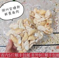 Chaozhou self-planted 1kg fresh 2021 fresh pick green water chestnut tender fresh shell water chestnut meat powder glutinous