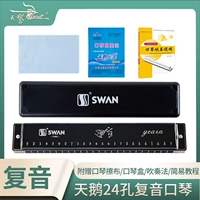 24 отверстия чернила и черное младшее исследование C настроили на звуковой рот пианино+подарок