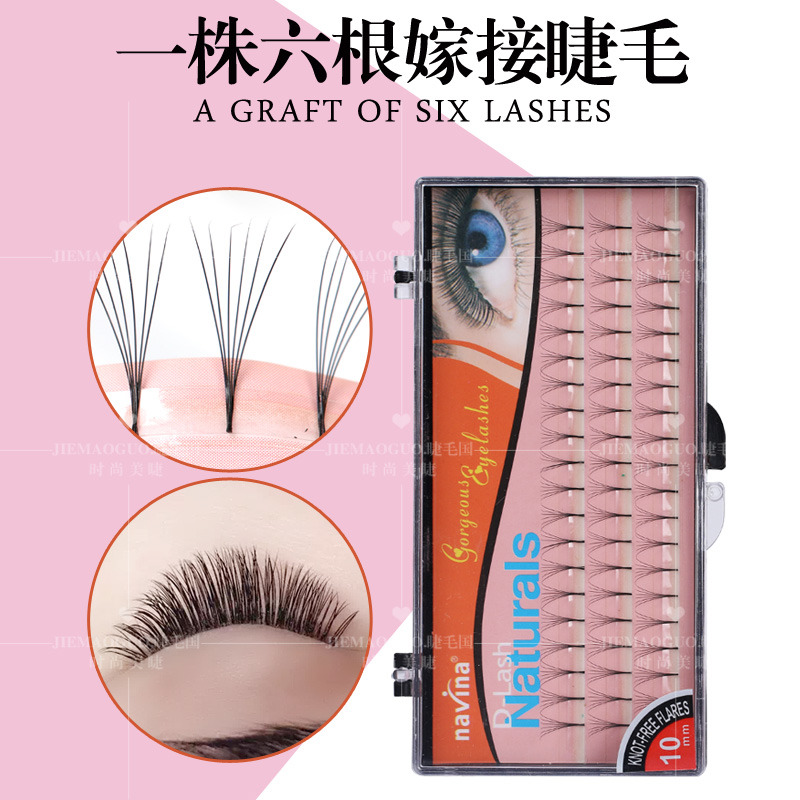 Beginner A plant of 6 single flower clusters of natural realistic encrypted curl planting grafted fake mink eyelashes