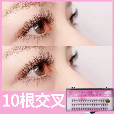 Korean-style cross-shaped clusters 10 Barbie natural warped easy to start beginners can graft and plant false ciliary hair
