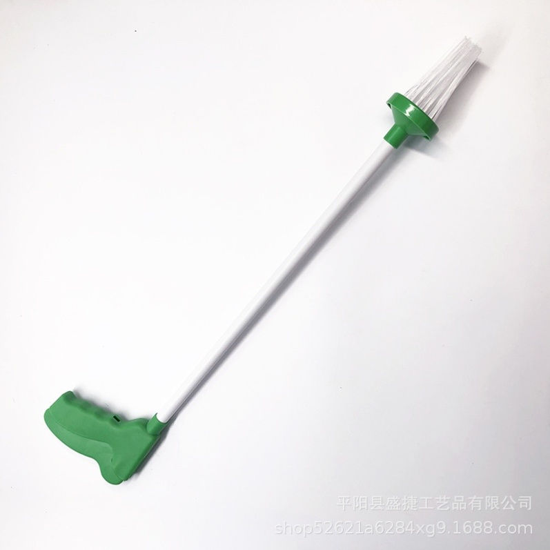 蟑螂克星：黏性十足的家居捕虫神器