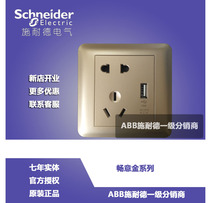 Original Fashion Schneider Five Holes With USB Jack Brisk Frosted Gold Brisk Gold USB Five Hole Charging Socket