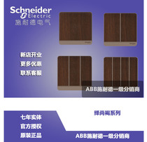Schneider switch socket Champ Year Round Brown Open Two Open Three Open Single Double Control Socket Panel