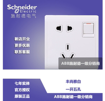 Schneider Switch Panel Type 86 Feng Shang Ya White Feng Shang White One Open Five Hole Switch Panel 10A