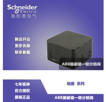Schneider ground insertion case Schneider original fitting ground socket box ground socket box M225B