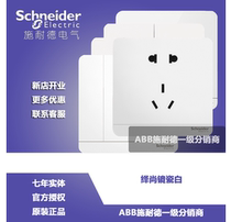 Schneiders Shang series mirror porcelain white open two-open three-open switch TV computer socket panel