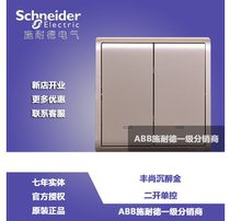 Schneider switch socket panel 86 - type Fenghuang Champagne gold double - controlled double - open single control