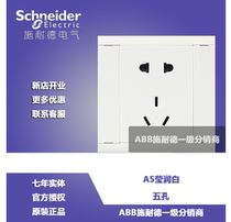 Schneider switch socket A5 Yingjun series of five holes with protection door Two-three-pole five-hole socket panel