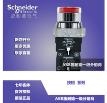  Schneider Illuminated push button switch Self-reset 1 Normally open 22mm metal head AC220V XB2BW34M1C