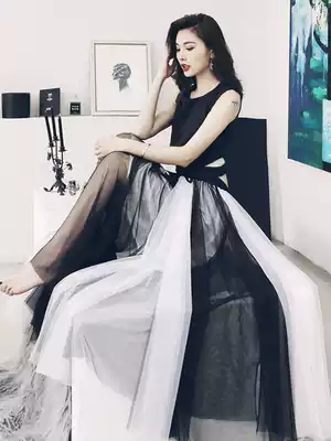 Korean version of the new thin Joker ins Super fire skirt female summer long version suitable for cross-leg thick mesh skirt