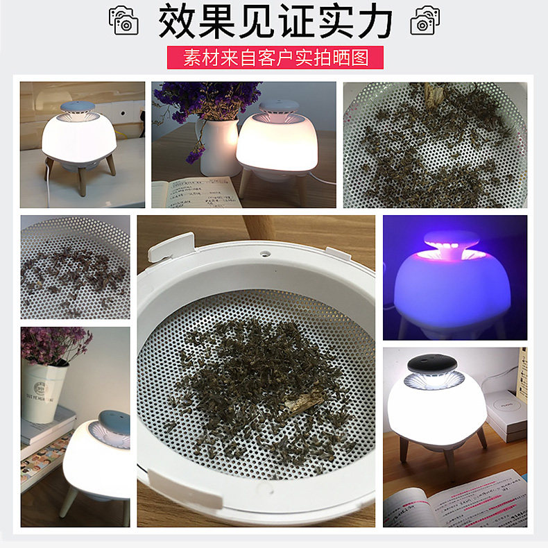 Xiaobai 790.jpg