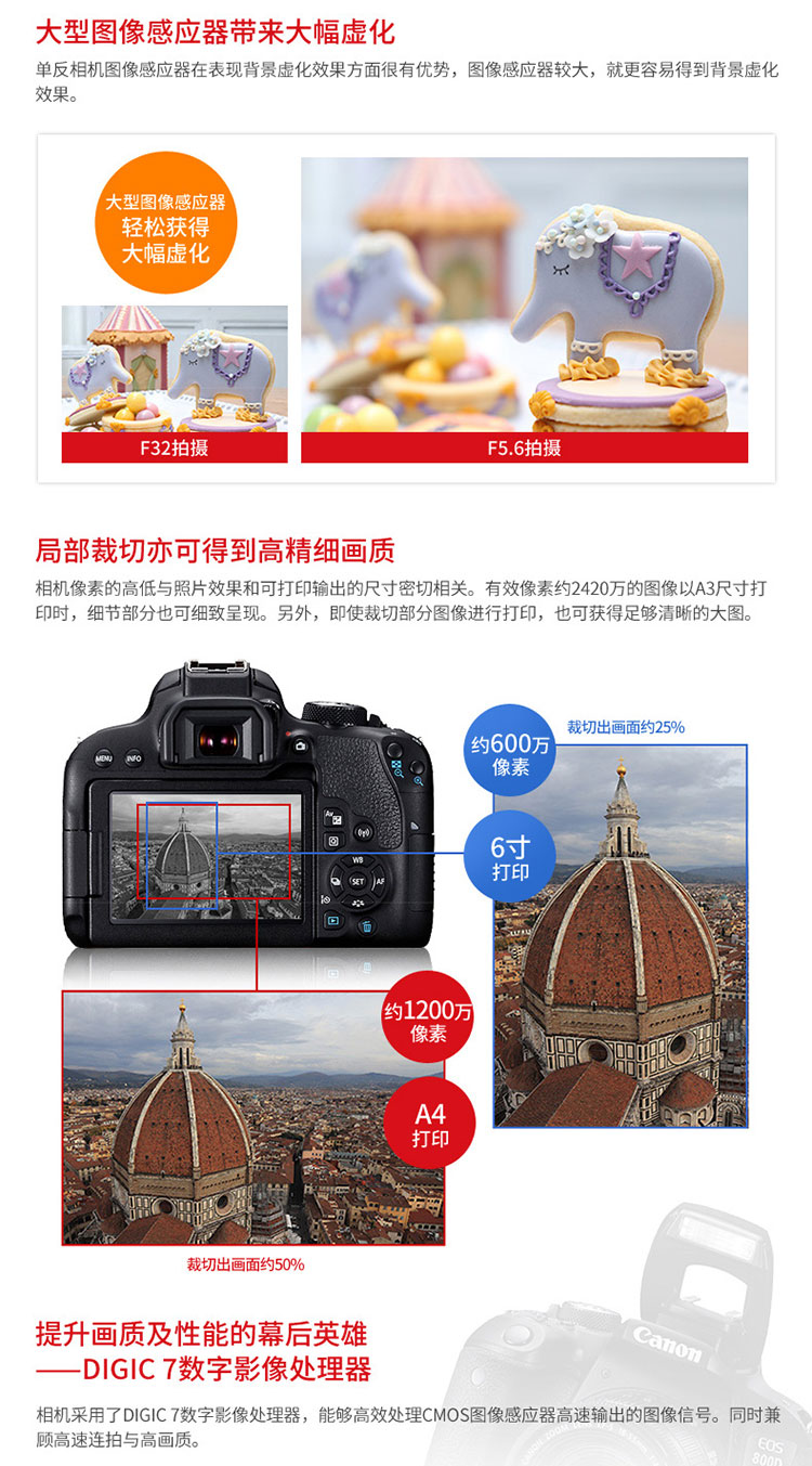 Canon / Canon EOS 800D 18-135mm Bộ máy ảnh du lịch HD nhập cảnh cấp độ Authentic - SLR kỹ thuật số chuyên nghiệp máy chụp ảnh sony